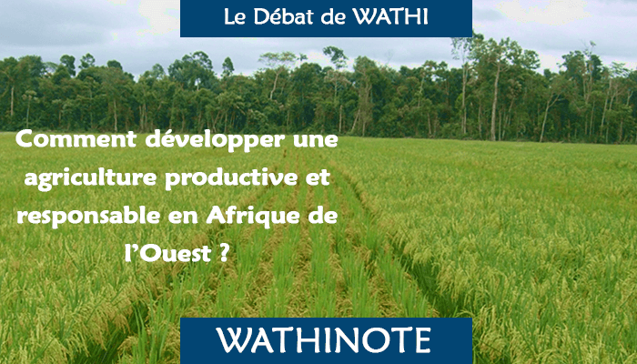 Comment les systèmes agroalimentaires en Afrique de l’Ouest réagissent-ils aux tendances actuelles du marché?