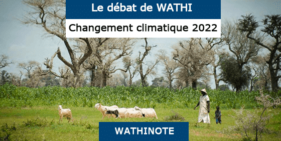 Développement local et changement climatique : parole à la société civile (Sénégal), Plateforme des ONG européennes au Sénégal (PFONGUE), 2017